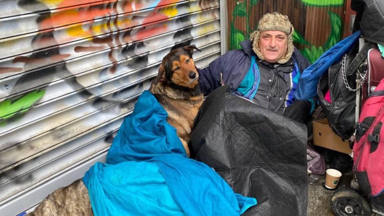 Kadıköy, Gültekin için ses oldu: Köpekleri ve eşyası geri verilsin