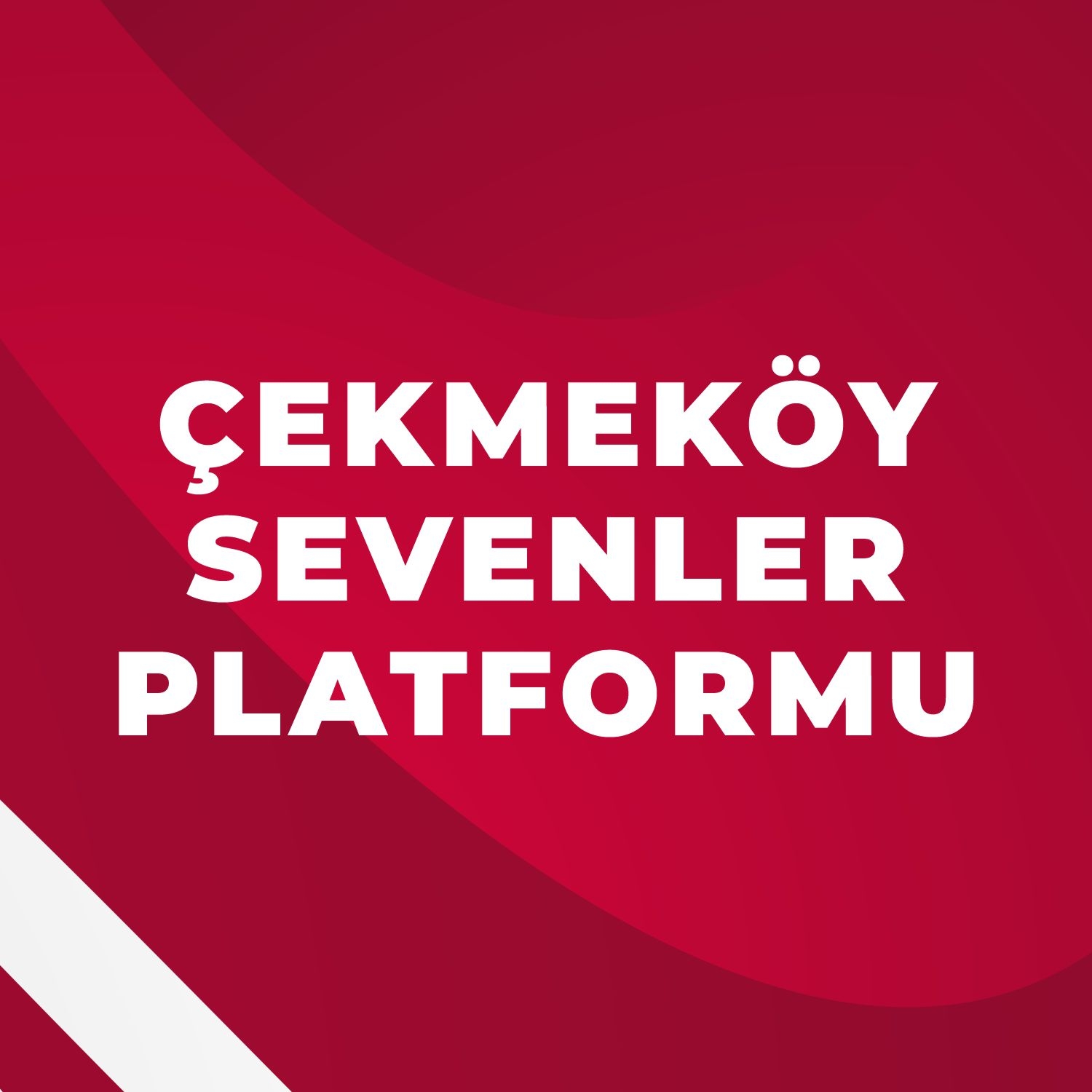 Çekmeköy Sevenler Platformundan kamuoyuna açıklama…