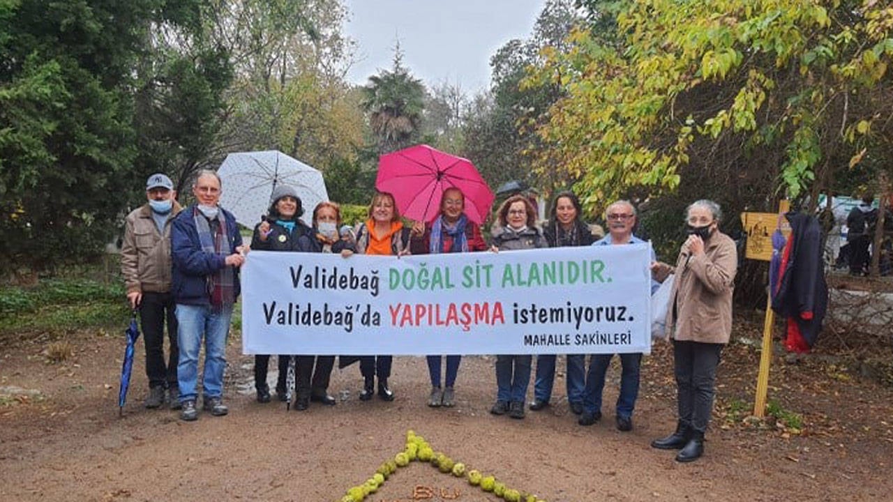 Danıştay’dan önemli karar: Validebağ Korusu kurtuldu