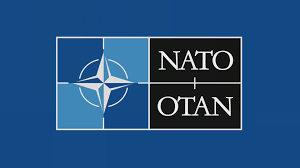 NATO'dan Rusya'ya tahıl çağrısı