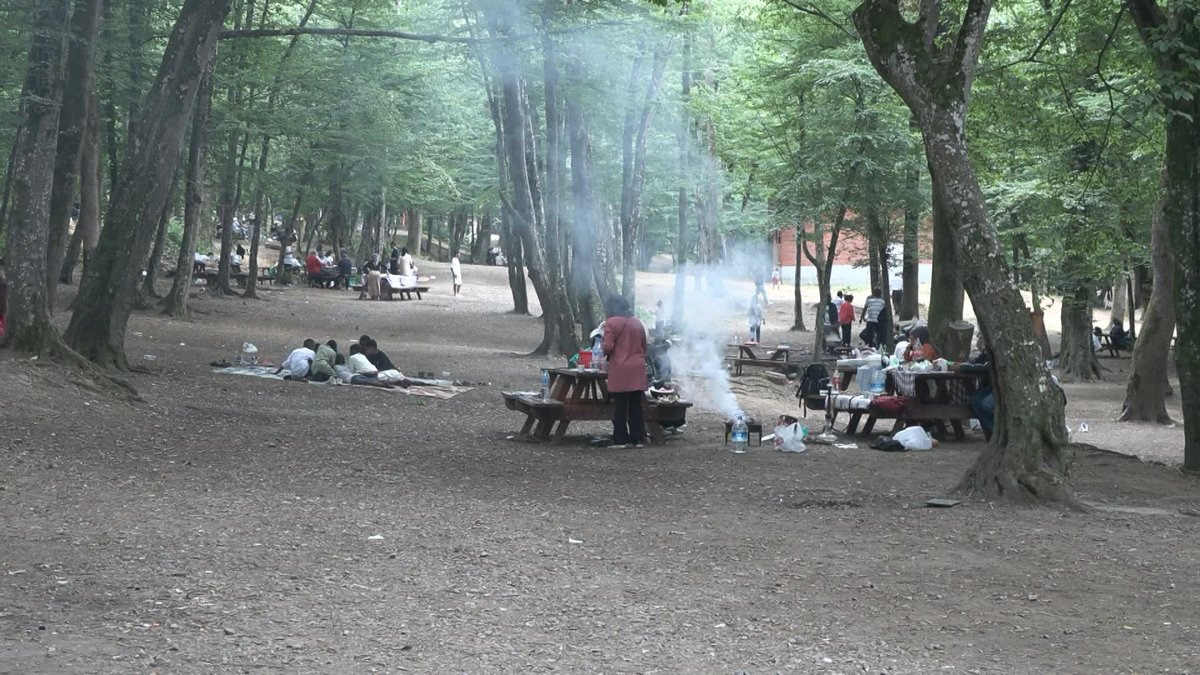 İstanbul’da kalanlar piknik alanlarına akın etti