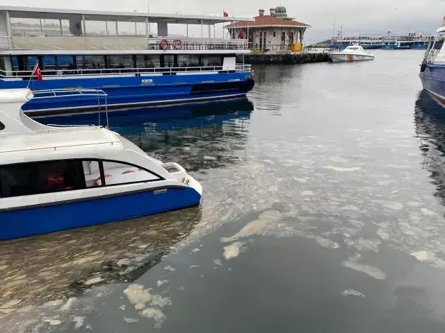 Kadıköy'de sahilinde ürküten görüntü!