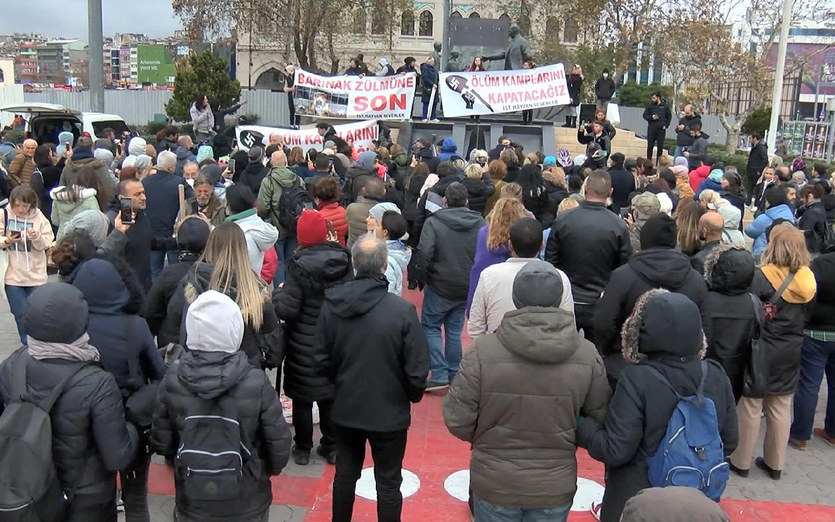 Kadıköy’de sokak hayvanları için eylem