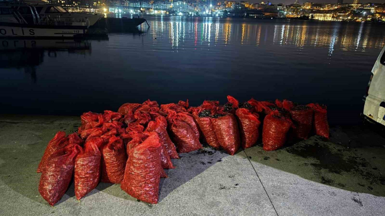 Üsküdar'da 2 ton kaçak midye ele geçirildi!